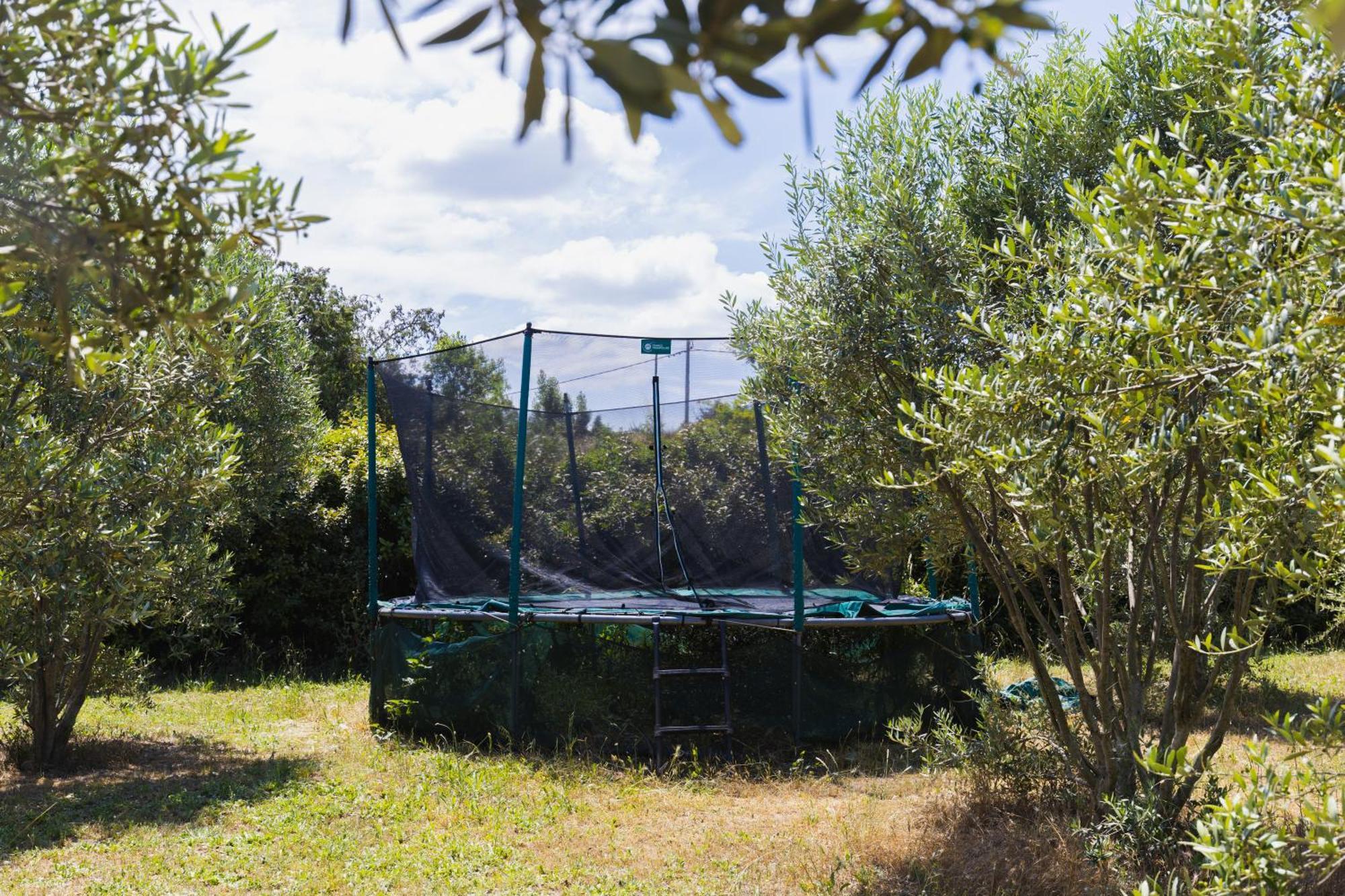 Chambre D'Hotes - B&B - Grand Luberon Chez Manon En Luberon Lagnes Exterior foto